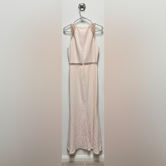 Pale Pink Evening Gown (Size 4) - Picture 4 of 6